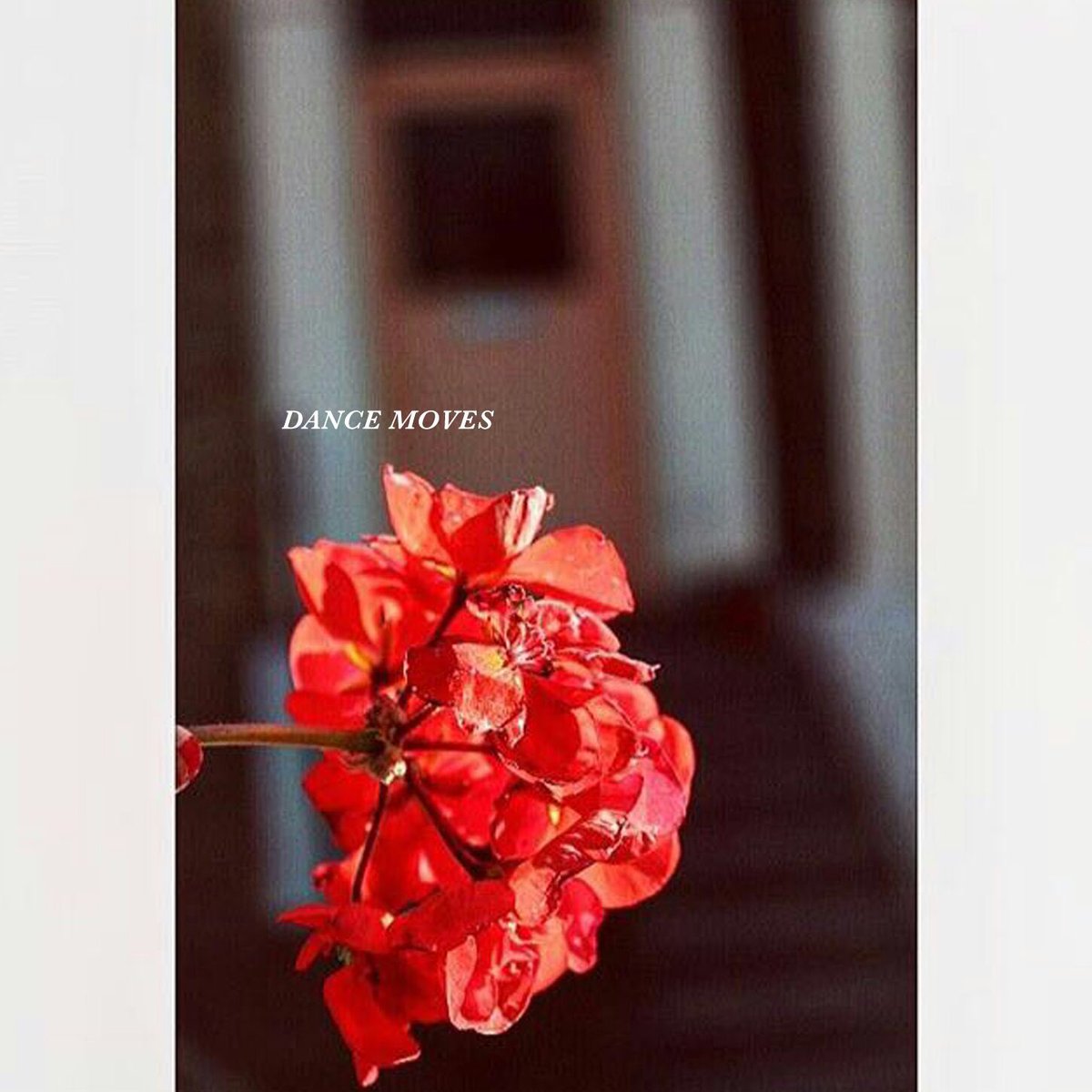 jamilahbarry's tweet photo. 'Dance Moves' is out now!
Prod. by. @MidnightPhunk 🌹

>> https://t.co/urdeBHpq1C https://t.co/VrF3JvOjrs