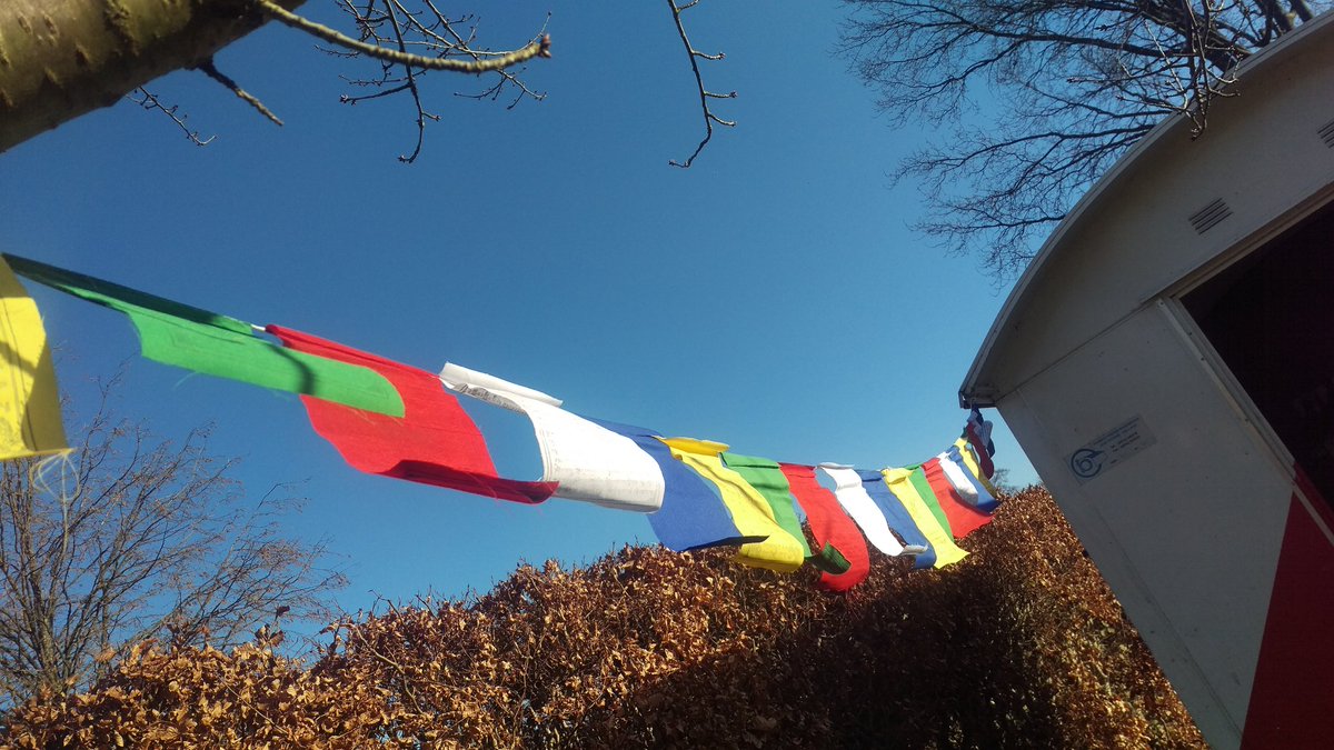 Eerste daad op de akker dit jaar... ophangen van Tibetaanse gebedsvlaggetjes. Het wordt een mooi jaar!