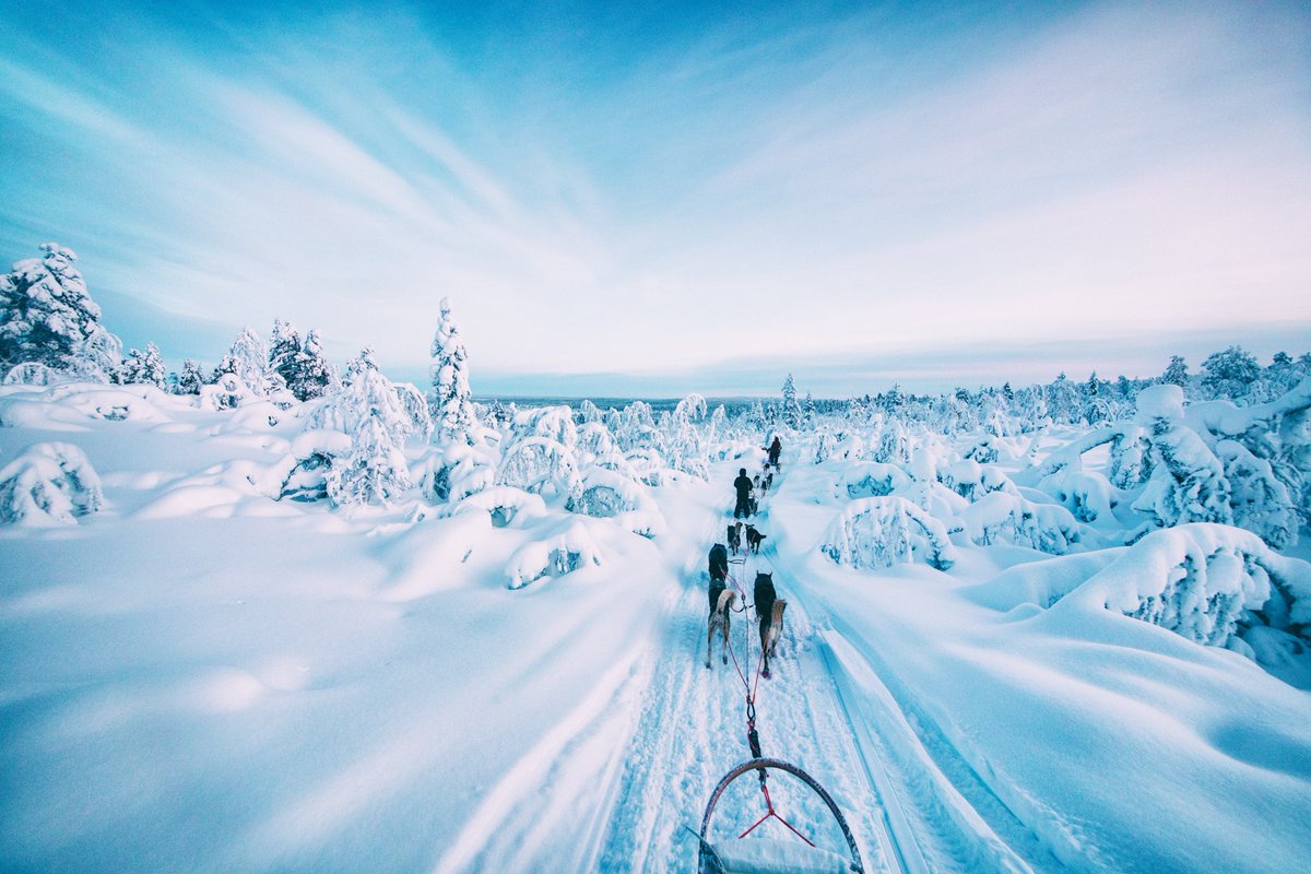 横田 裕市 写真家 على تويتر フィンランド白銀世界の犬ぞりの旅 新たに今の感性で現像しました 日の出とともに雪原を行く 自分を乗せて次の目的地へ 犬ぞりのアクティビティはほんとおすすめ Visitfinland