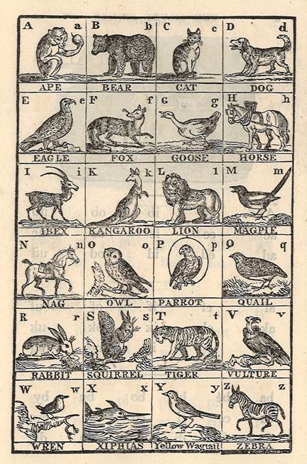 BrookesLibrary's tweet image. 1820s childrens’ primer animal alphabet. Xiphias is definitely one to remember for Scrabble! #libraryexhibition