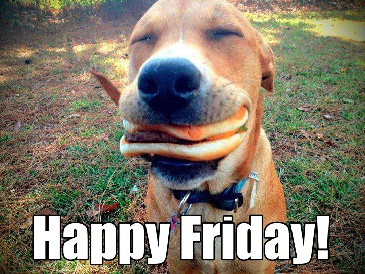 eat_date's tweet photo. Our face on diet rest day... #FridayFeeling via @eat_date https://t.co/ufe0gG5dqs