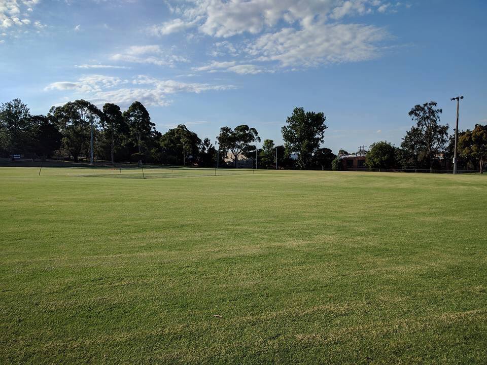 The wicket is hard, outfield is lightning, beers will be cold &amp; the Bulldogs will be running hot! T20 x2 at the kennel 12pm start! Be there!