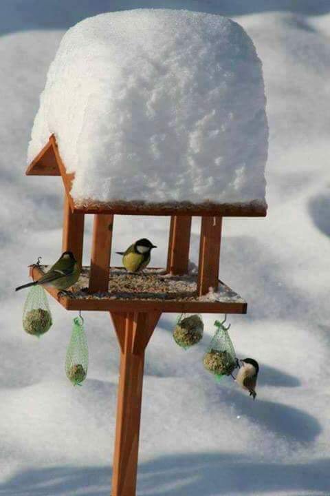 maurreenyee's tweet photo. https://t.co/GJaotnH2A3
