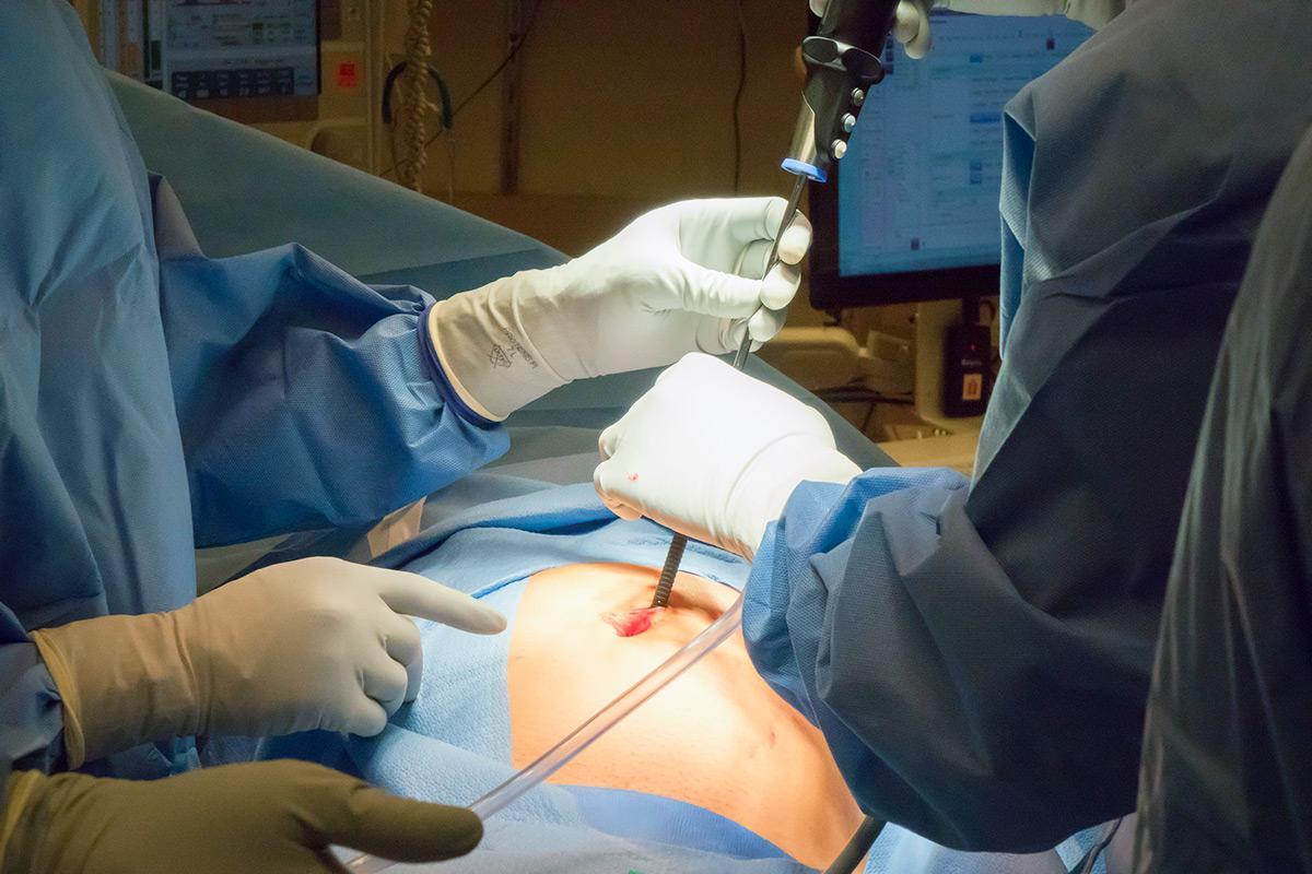 newscientist's tweet photo. Miniature brain and skull found inside 16-year-old girl’s ovary https://t.co/ZQJSSfmxER https://t.co/0Iz0NVOKQm