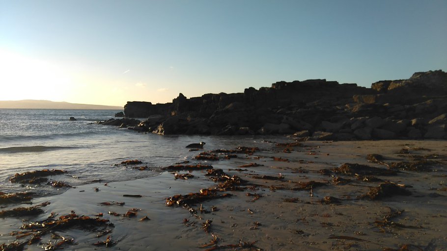 NaturalEngland's tweet photo. Spot the grey #seal on this west #Cornwall beach! Always allow seals to approach you on their terms. More at https://t.co/sAcTQ7yWM1 https://t.co/mLryjpeOgN
