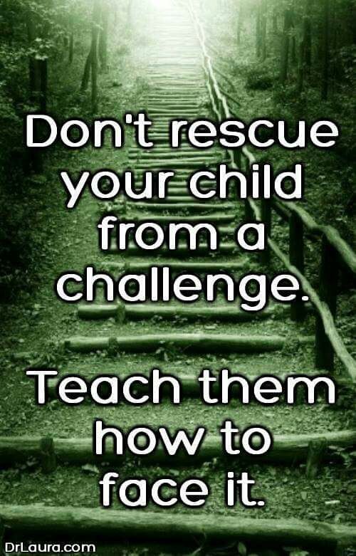 teachergoals's tweet photo. Kids need to learn how to deal with a #challenge. They will come out stronger #growthmindset https://t.co/njMrM2TdLX