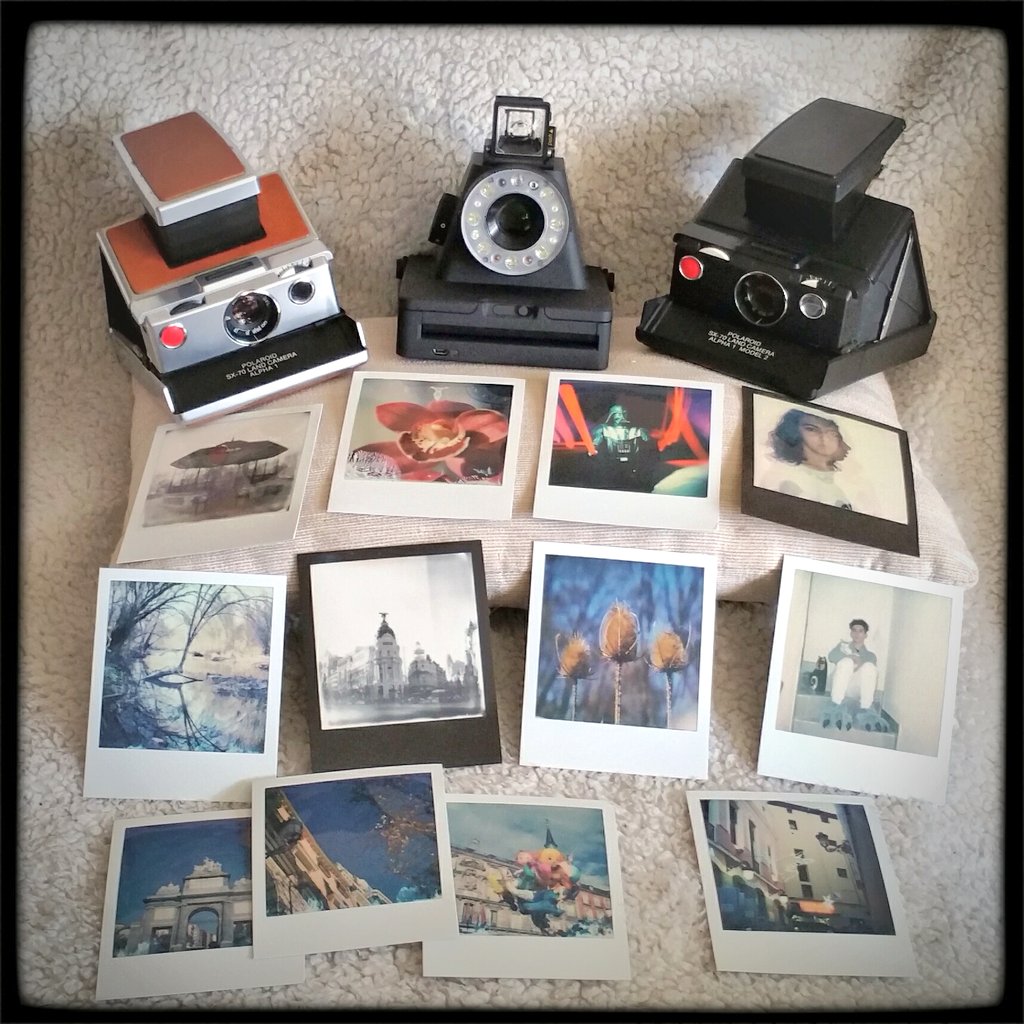 JulioVet_photo's tweet photo. Mis tres reyes magos 😊😍😎(reinas pero hoy es el día q es...😜)
#instantcamera #i1camera #SX70 #instantphoto #ishootfilm #makerealphotos https://t.co/XED4I364OR