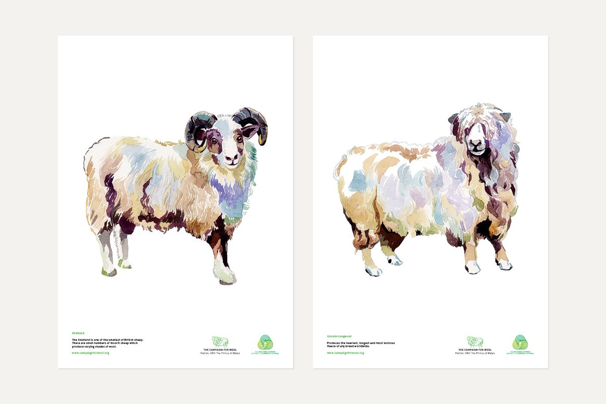 Project Review

<a href="/Campaignforwool/">.</a> Rebrand with Illustrations from <a href="/hollyexley/">Holly Exley</a> #ChooseWool

mattanddan.co.uk/work/the-campa…

M&amp;D