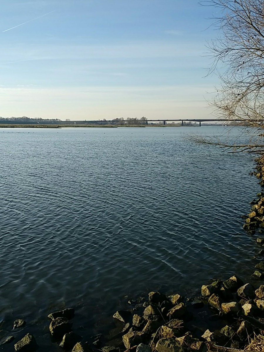 pastormaxede's tweet photo. Heerlijk wandelen bij Rhenen https://t.co/Xz0GXS6xZP