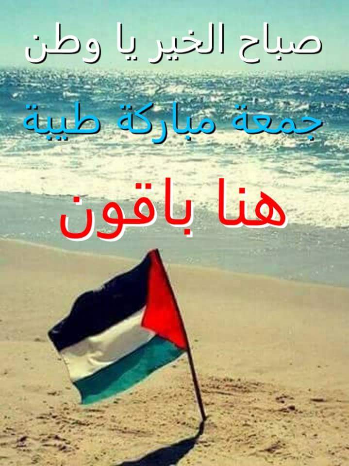 الحب الكبير (@sobh_yaser) on Twitter photo 