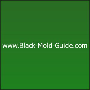 LifeAfterMold's tweet photo. #symptoms of #blackmold exposure and what to do! #mold #CIRS #moldillness #molddoc #IsItMold #waterdamage #fatigue #moldexposure #spoonie... https://t.co/EU2UuzsKld