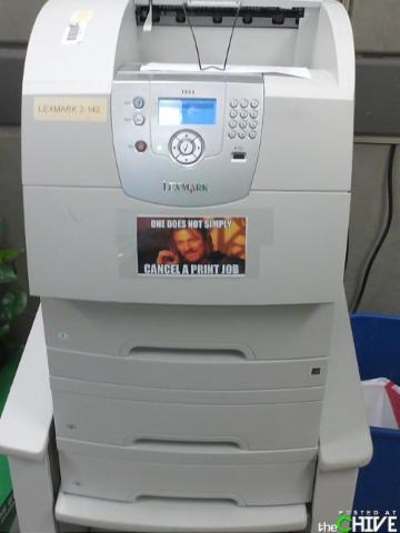 fleximaging's tweet image. It's #FridayFunnies day! #humor