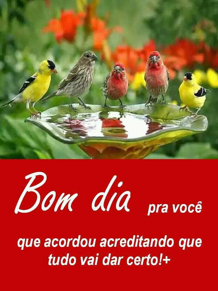 radios.com.br/aovivo/Web-Rad…