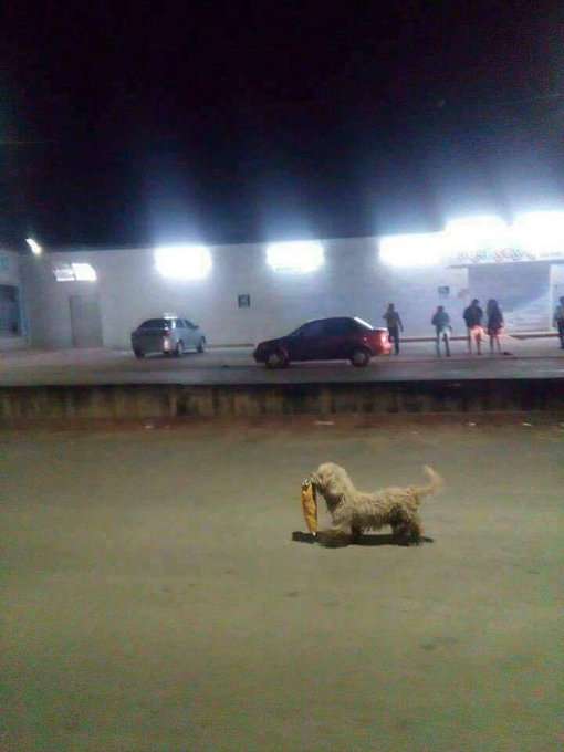 Ver imagen en Twitter