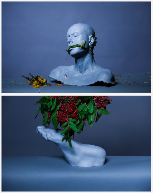 shadedminds's tweet photo. Hyperrealistic sculptures by Sarah Sitkin https://t.co/E9hBpx6Tmj