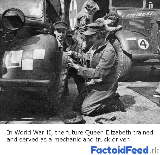 "Change the oil, Your Highness." factoidfeed.tk/history/change… #History #trivia #QueenElizabeth