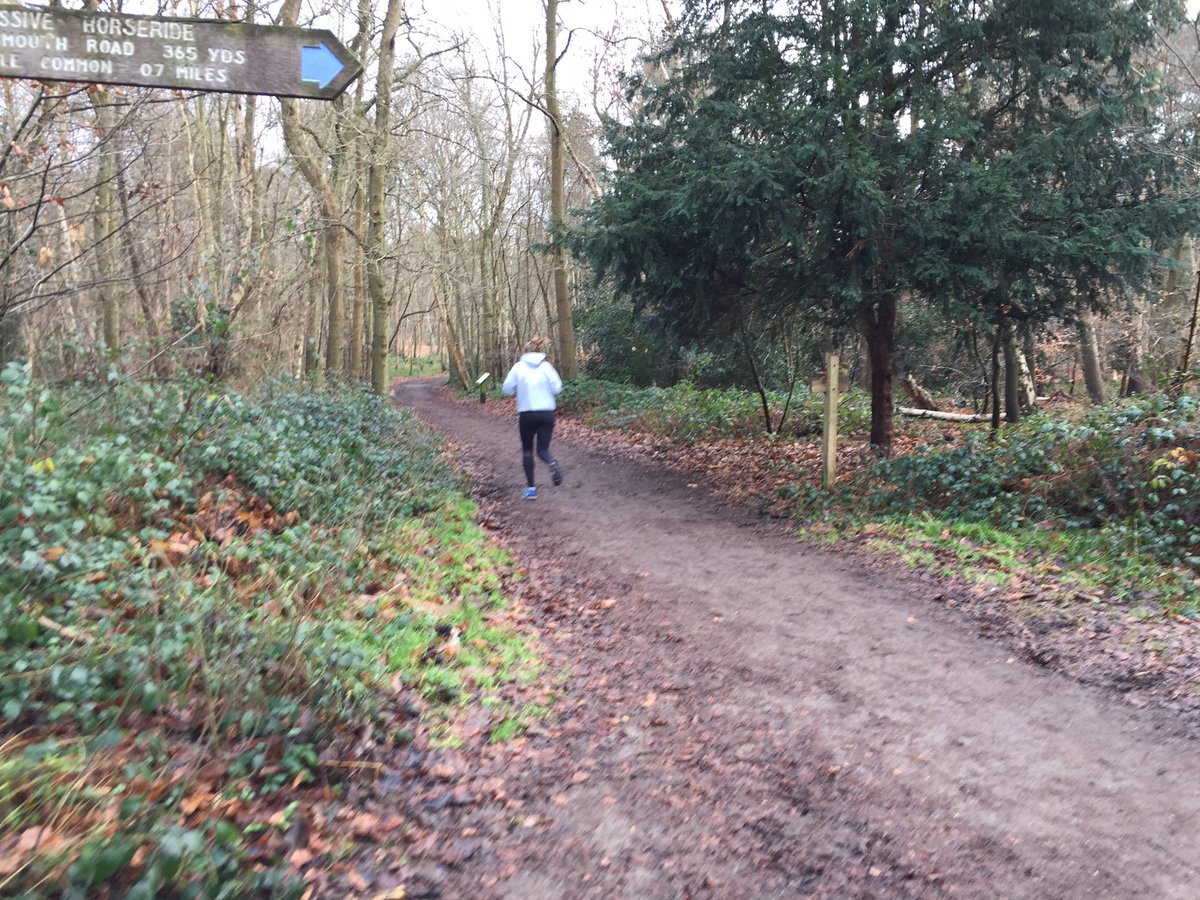 PhysEdSHS's tweet photo. @SurbitonHigh @jasonmfalconer the GCSE PE pupils setting the pace for their orienteering competition #Esher Common #orienteering #challenge https://t.co/dmXlQEYpsC