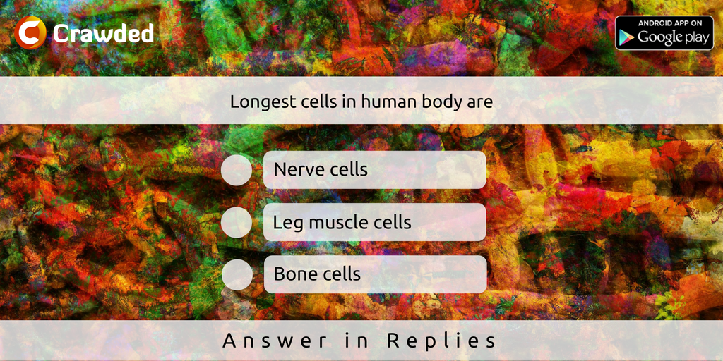 crawdedindia's tweet photo. How well do you know your body? Let us know your Answer in Replies!
https://t.co/uNXSiK3gxl
#Biology #Crawded https://t.co/FxdyR5PI9l