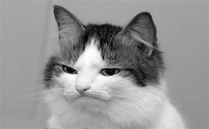 That moment when you're in the #amwriting zone but forgotten how to spell a simple word &amp; it totally throws you off...
#writersproblems