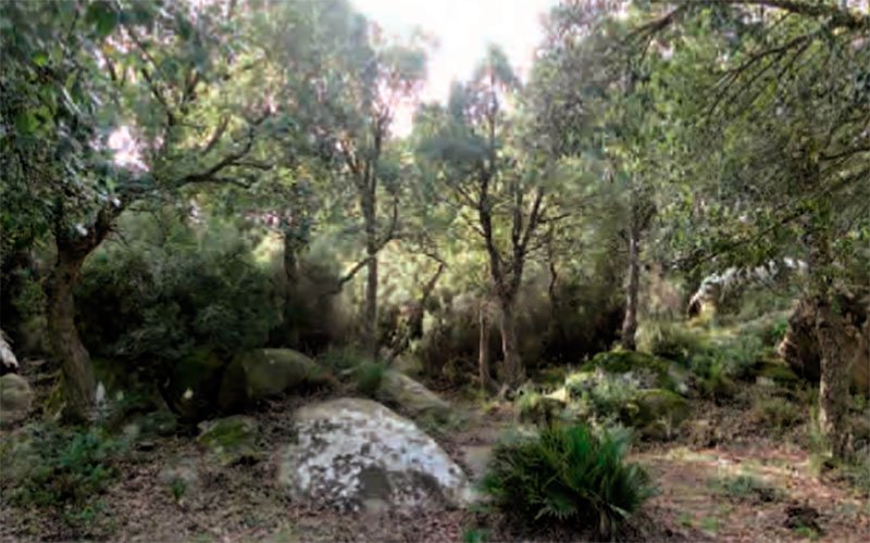 Nueva entrega serial #senderos #CampodeGibraltar: Sierra de Montecoche, #LosBarrios goo.gl/dYZueN <a href="/CadizTurismo/">Turismo de la provincia de Cádiz</a> <a href="/diputacioncadiz/">Diputación de Cádiz</a>