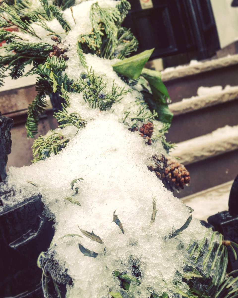 SteinerSchoolNY's tweet photo. #Snowflakesfalling soft and light,
Snowflakes falling in the night,
[...]
All the earth is dressed in white. 
#thewaldorfbookofpoetry https://t.co/WdViGSZT0X