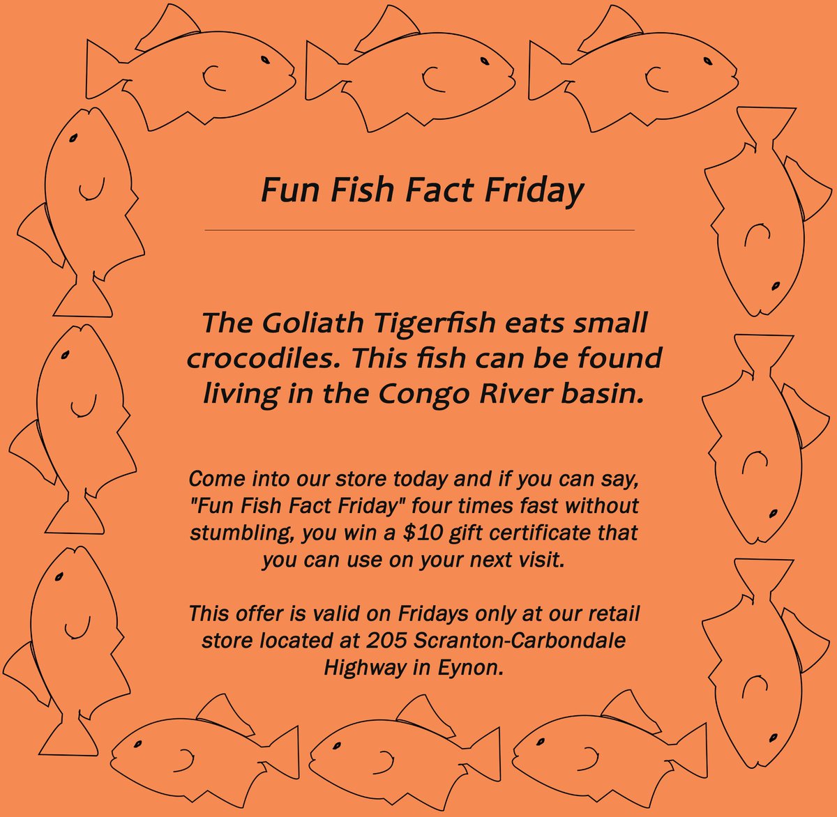 Boston_Seafood's tweet image. We love #Fridays. #FunFishFacts #FishyFacts #FunFishFactFriday