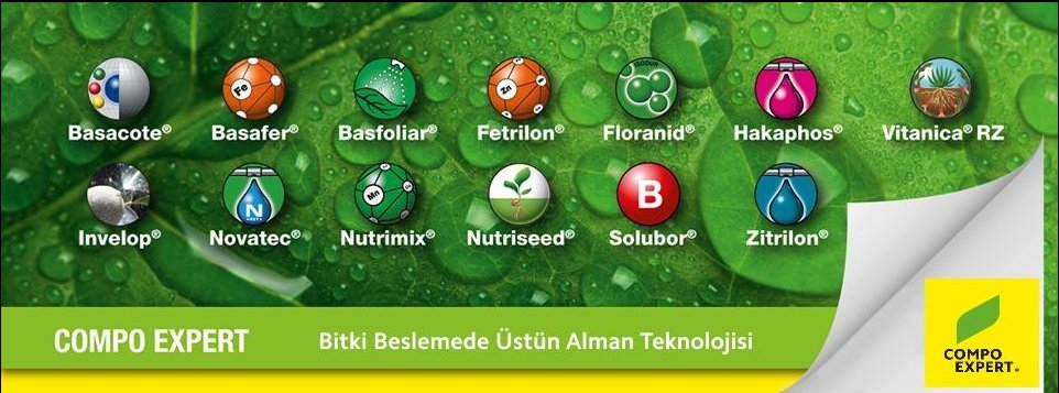 COMPO EXPERT Turkey tweet media