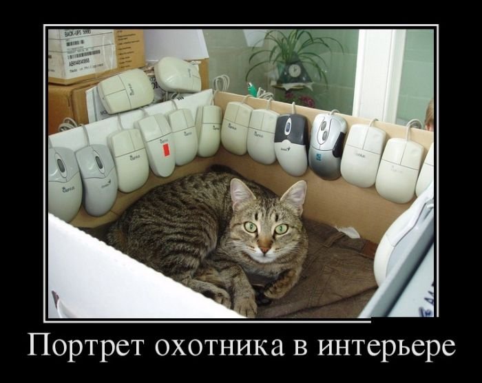 prikolnuha's tweet photo. #юмор #шутки #приколы - Демотиваторы https://t.co/AwEsNUmKZ4