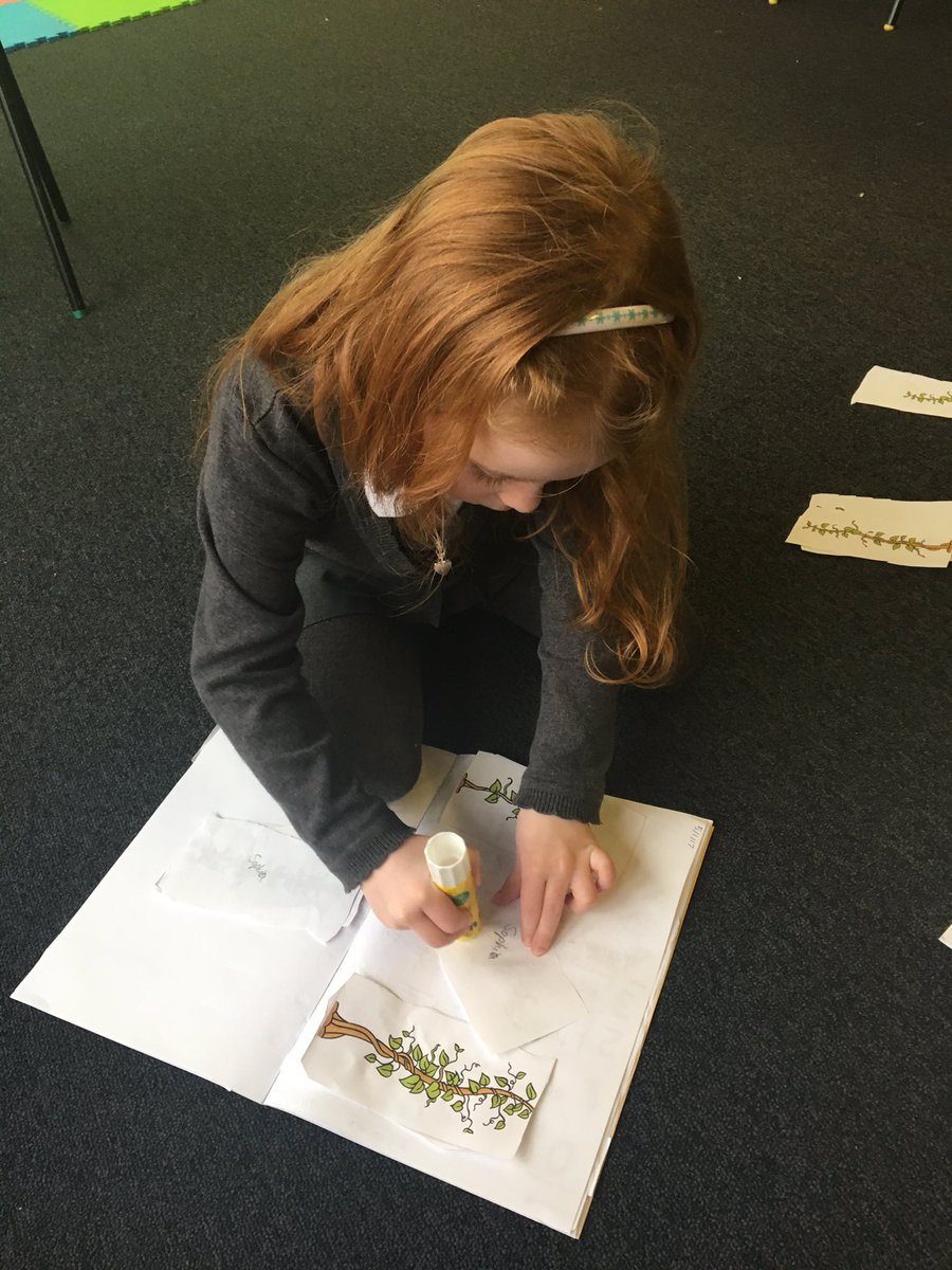 MiltonbankP's tweet photo. P1's showing what they have remembered about measuring length! #Pre-assessment #length #measure #Aifl #planningeffectively https://t.co/FlX6m7o0Jj
