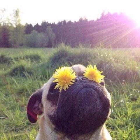 SpeakComedy's tweet photo. can't see the haters https://t.co/vAK6fXDYUY