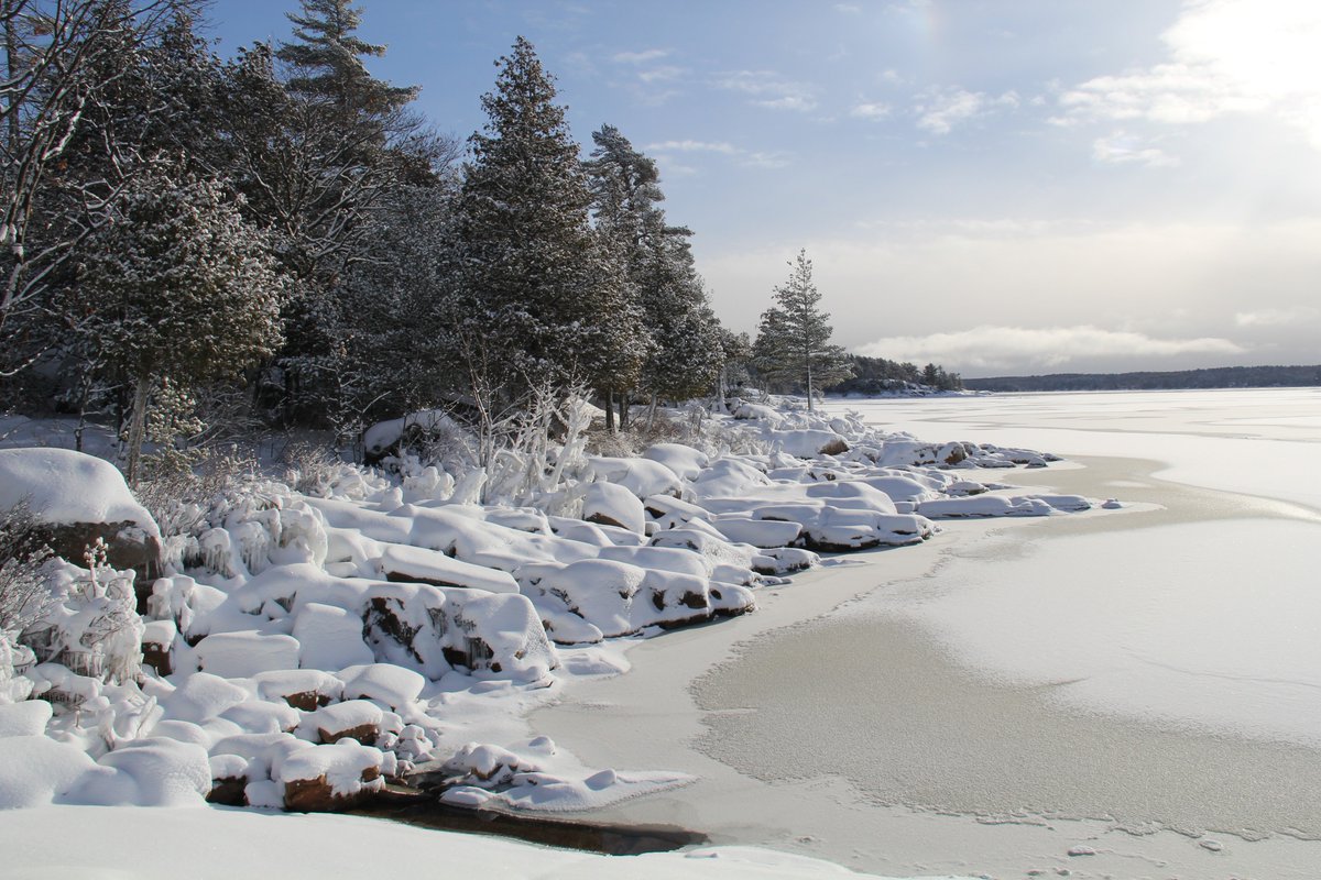 KillbearPP tweet picture