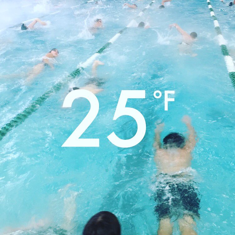kmasoncomal's tweet photo. Swimming today anyone??? https://t.co/RoVrMjFyBv