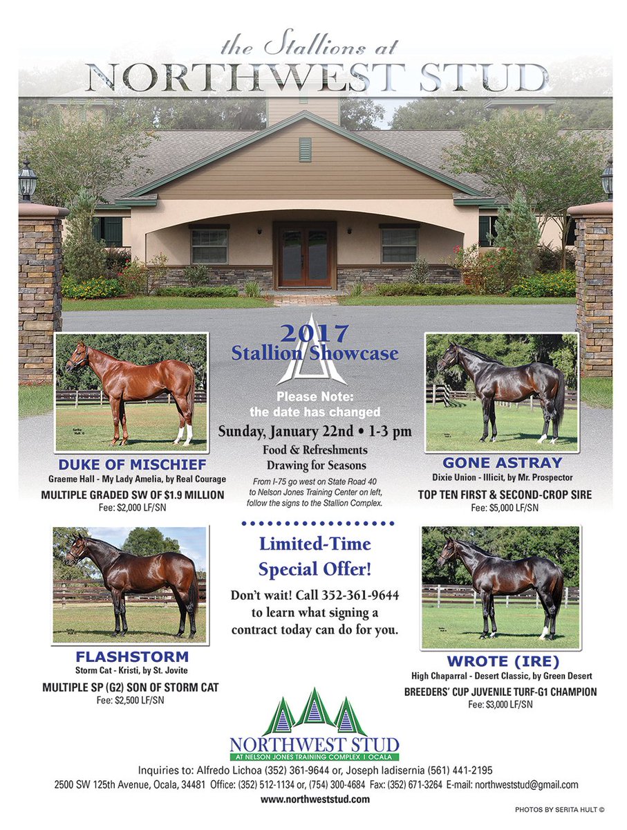 florida_horse's tweet photo. The Stallions of Northwest Stud:
#DukeofMischief #Flashstorm #GoneAstray #Wrote
2017 Stallion Showcase - Sunday, January 22 - 1-3pm
@NWStud1 https://t.co/VriMQVgLk7