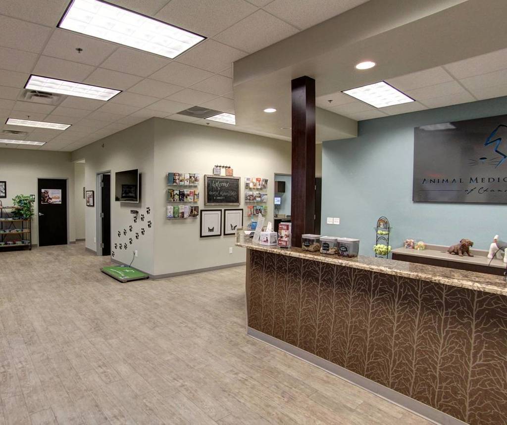 TerenceChang's tweet image. Shooting #GoogleStreetView #Virtualt w/ @outography for #Animal #Medical Center. A little … bit.ly/2hZ8cxk