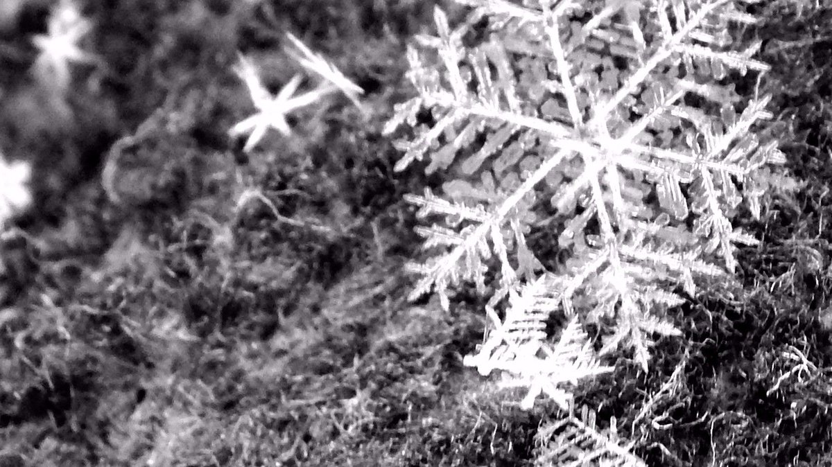 TempProDenver's tweet image. #BeSafe Denver! #DriveSlow #StayWarm buff.ly/2hYiW4h