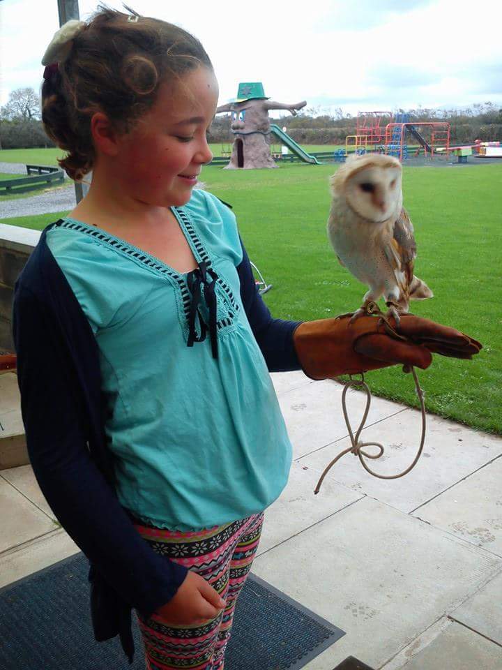 @AngleseyScMedia do you remember our lovely feathered visitors last year?  #barnowl #albatyto #Anglesey #holidaychoice #FridayFeeling