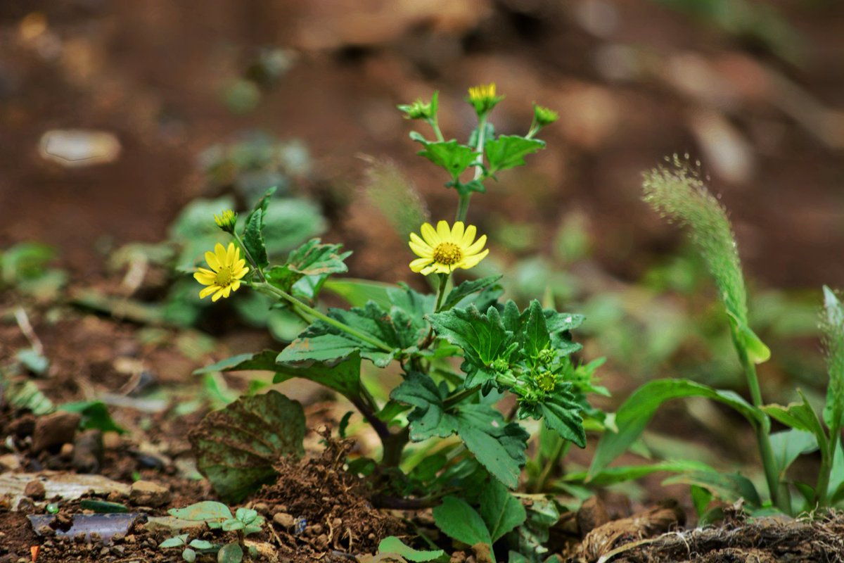 ajgraphy87's tweet photo. #AJgraphy https://t.co/P2fd77TUQC