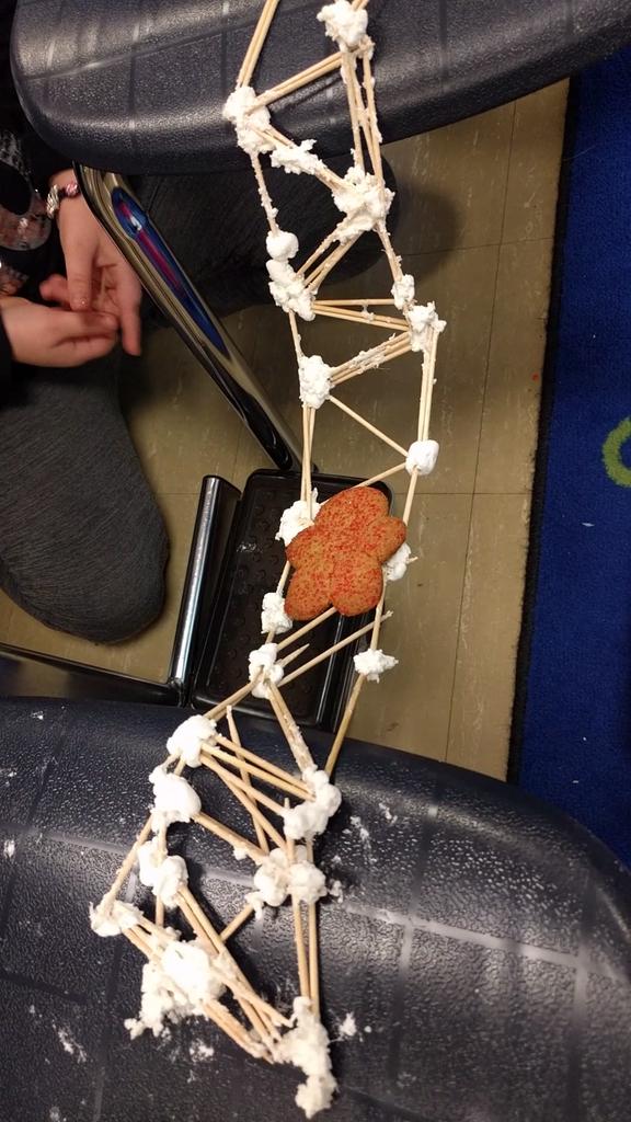 CMeL2003's tweet image. So proud of my class and our Gingerbread Man STEM project today. Unfortunately, some Gingerbread were harmed #superinsecond #belairbulldogs