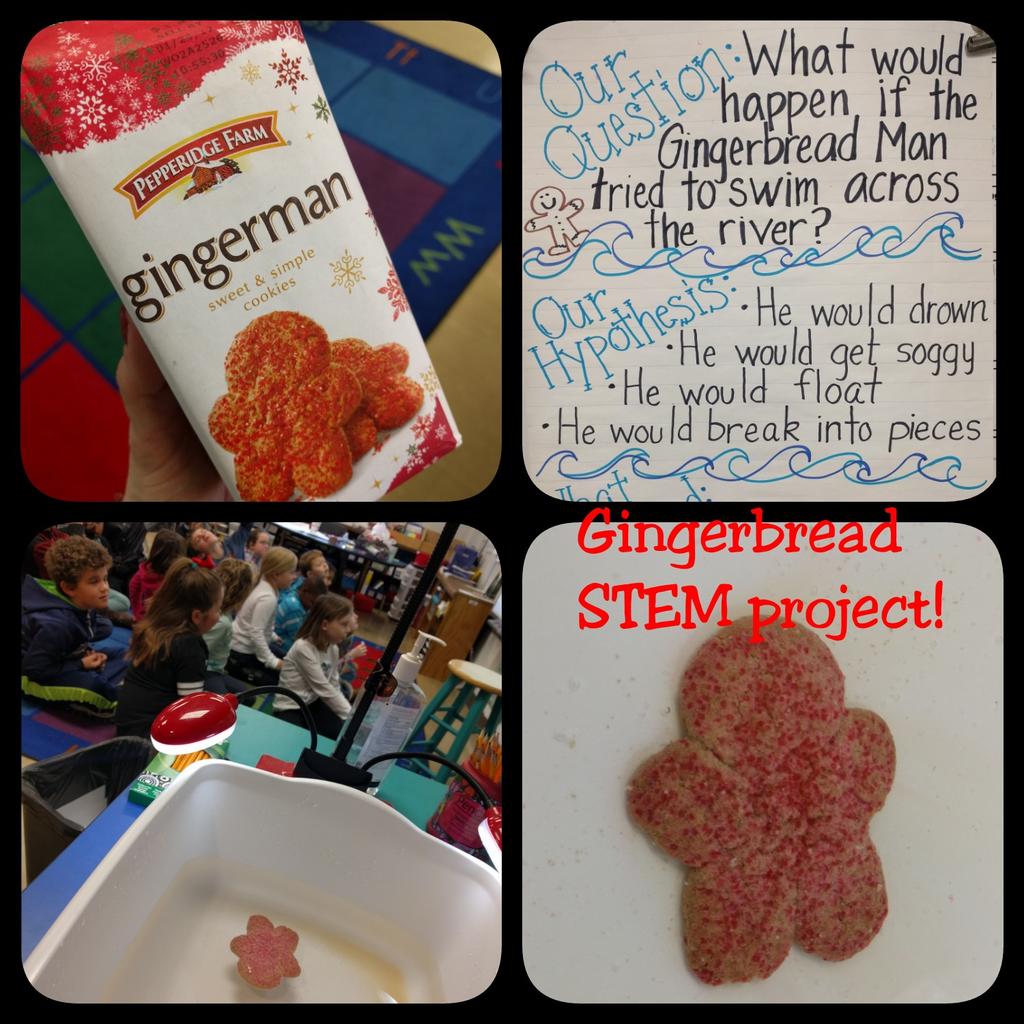 CMeL2003's tweet image. So proud of my class and our Gingerbread Man STEM project today. Unfortunately, some Gingerbread were harmed #superinsecond #belairbulldogs