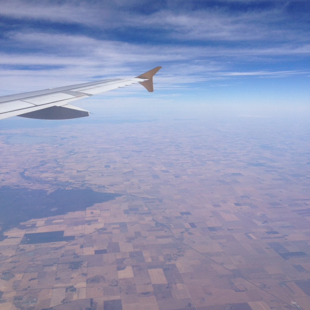 cat_lister's tweet photo. Patchwork Straya' https://t.co/nkgR9DCp0P