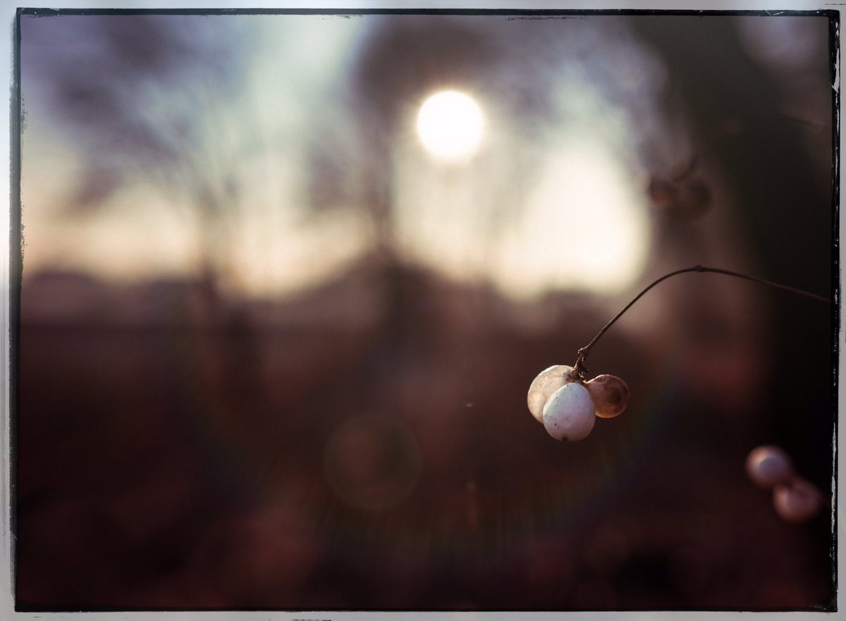 czart_'s tweet photo. #sunset #fujix #fujifilmxt1 https://t.co/t7mQPRizdK
