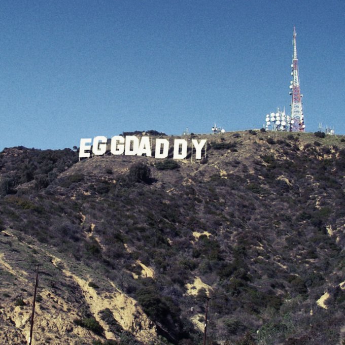 egg (@dailyeggfacts) on Twitter photo 