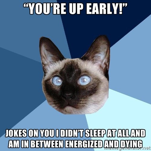 saeteinn's tweet photo. Me and @TrethElcair, true story.
#AbyssalProblems #HuskyProblems #NightOwls #FuckMaine https://t.co/jargNzRxtc