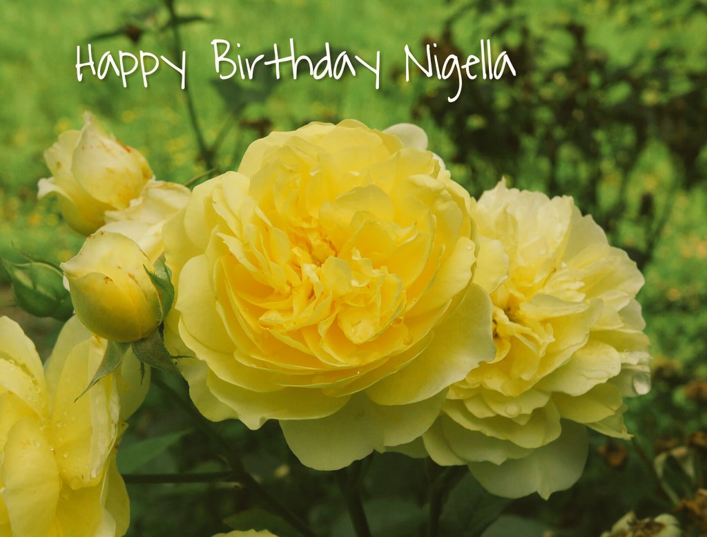 Happy Birthday  