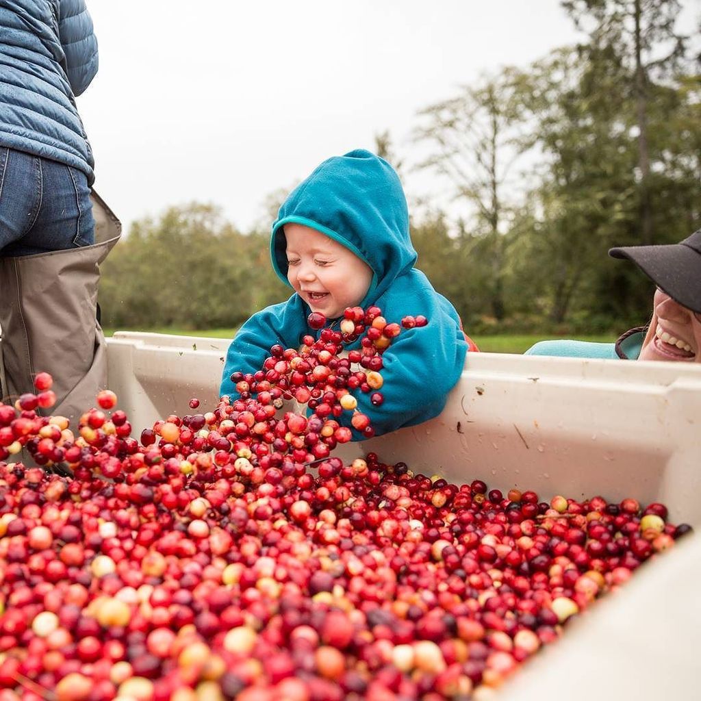 💙 Bog Social 💙 One of the greatest things we loved in 2016 was our 2nd Annual #BogSocial. @richcrowder gifted us wi…