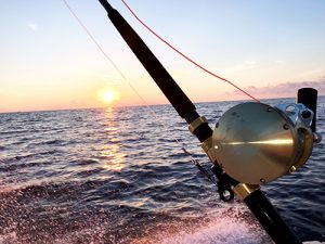 GSOB Fishing tweet media