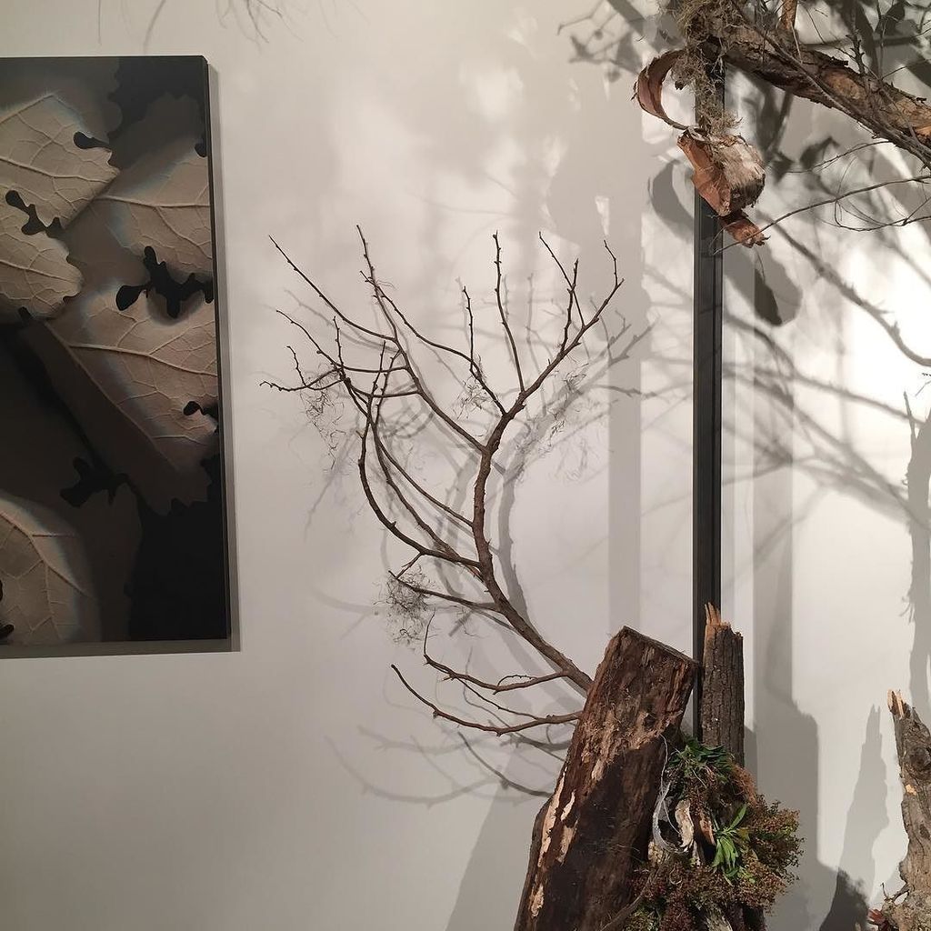 thisflowerhouse's tweet photo. one more preview of HIBERNA FLORES: opens tomorrow 6pm @ oakland university art gallery https://t.co/SI79I0CY25 https://t.co/IHw0N61Xb3
