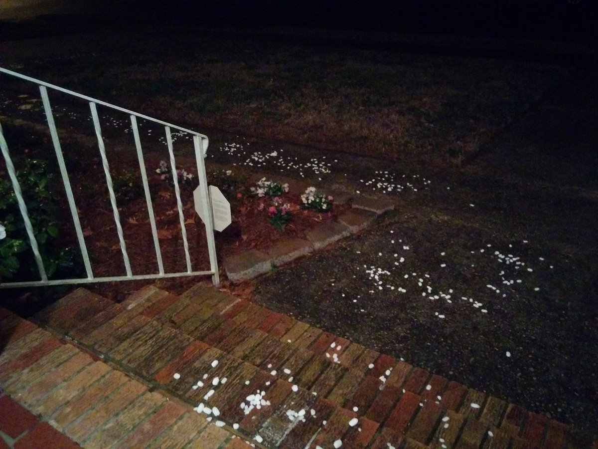SarahEWahl's tweet image. #WinterFail? Store out of ice melt so we got "salt." Apparently some salt is quite large... What I'm up against: wtkr.com/weather