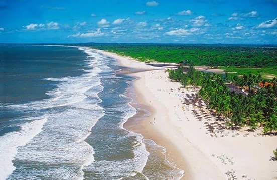 Leila Mota (@leilamota3) on Twitter photo 