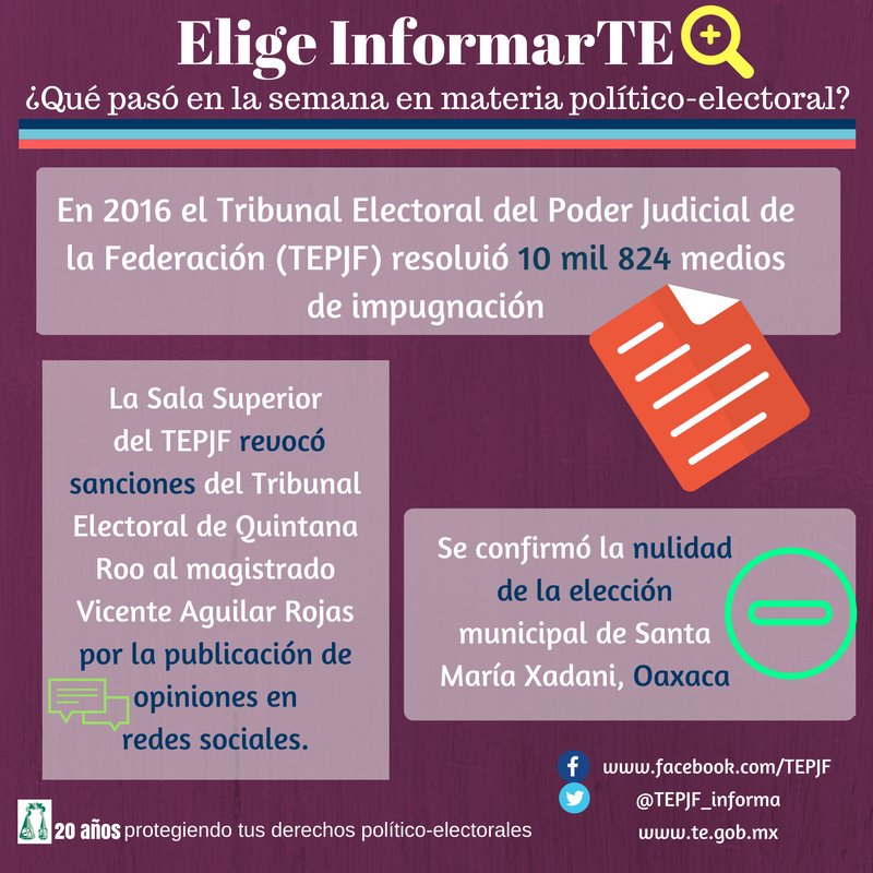 Tribunal Electoral del PJF tweet media